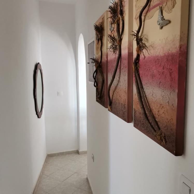 Seaview Family House Daire Arkasa Dış mekan fotoğraf